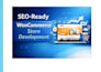 develop an SEO ready woocommerce store